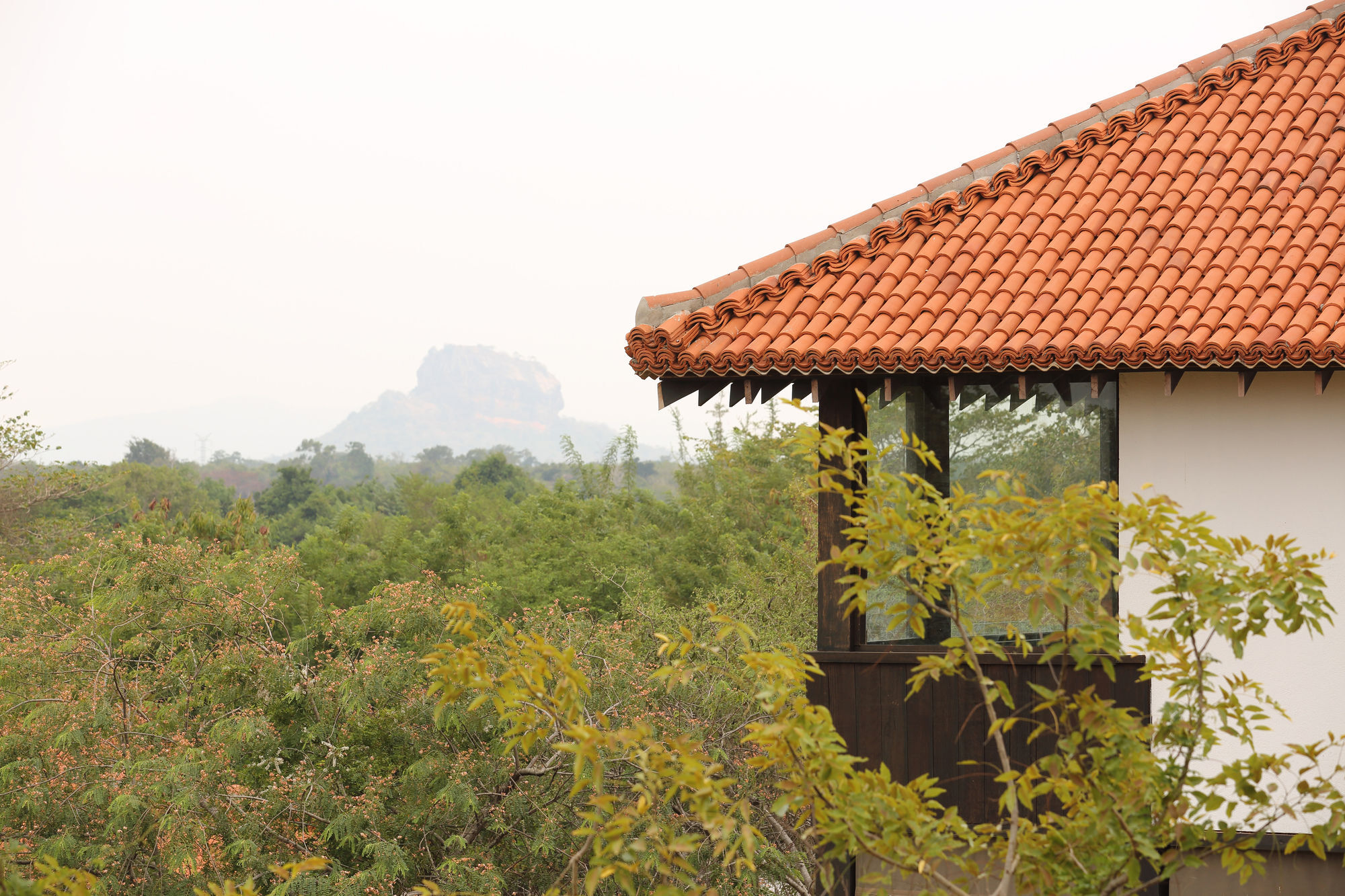 Sigiriyajungles Resort & Spa Экстерьер фото